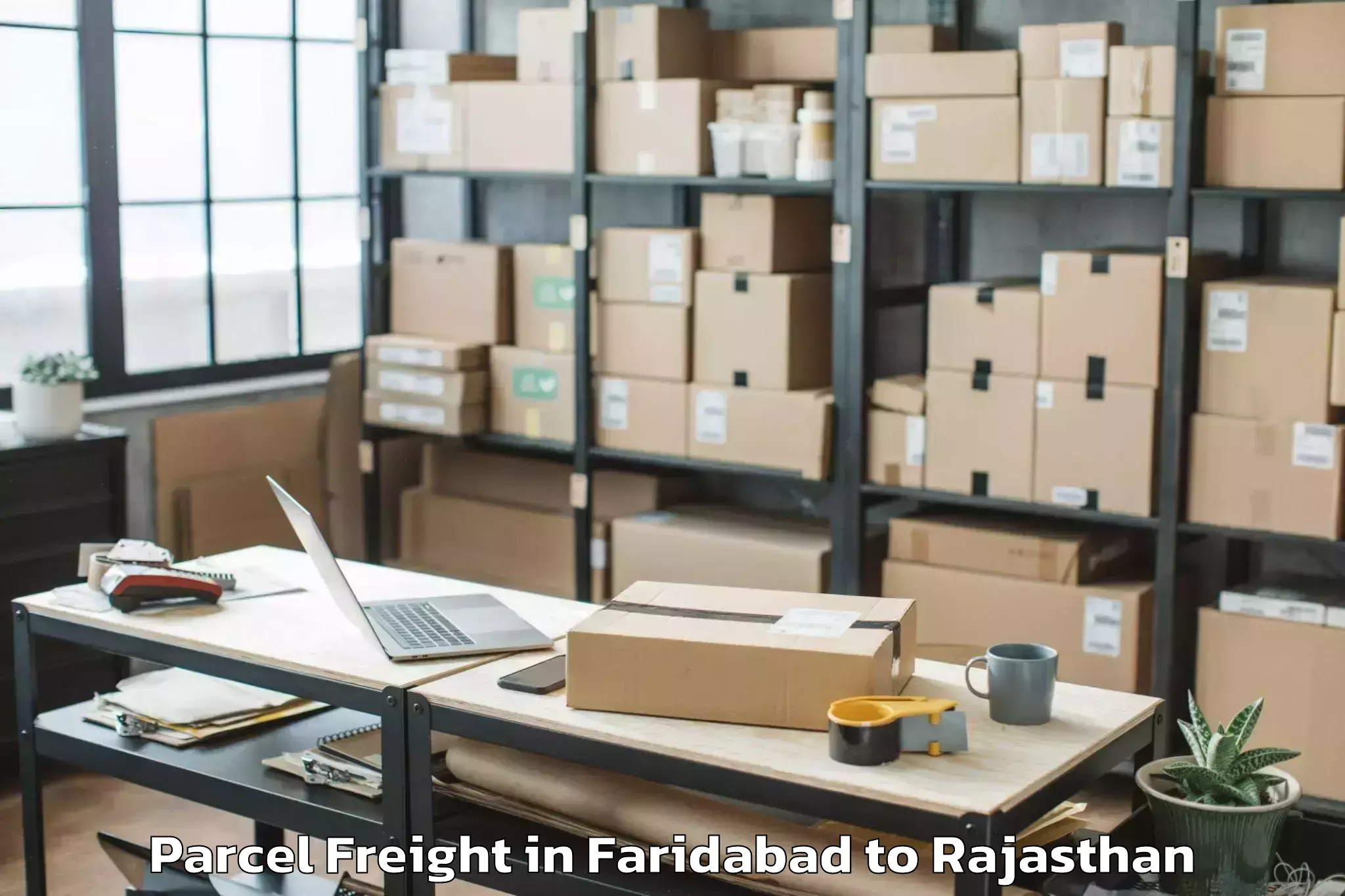 Book Your Faridabad to Udaipur Parcel Freight Today